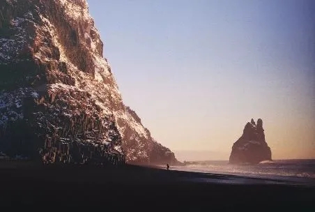 易卜生说：“玫瑰正因为有刺，才