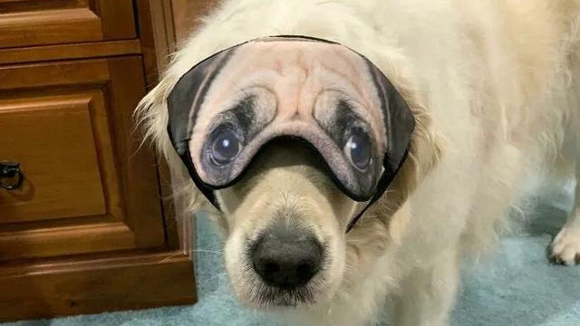 |卖家的宣传图与网友收到货的图片对比，差距真的太大了