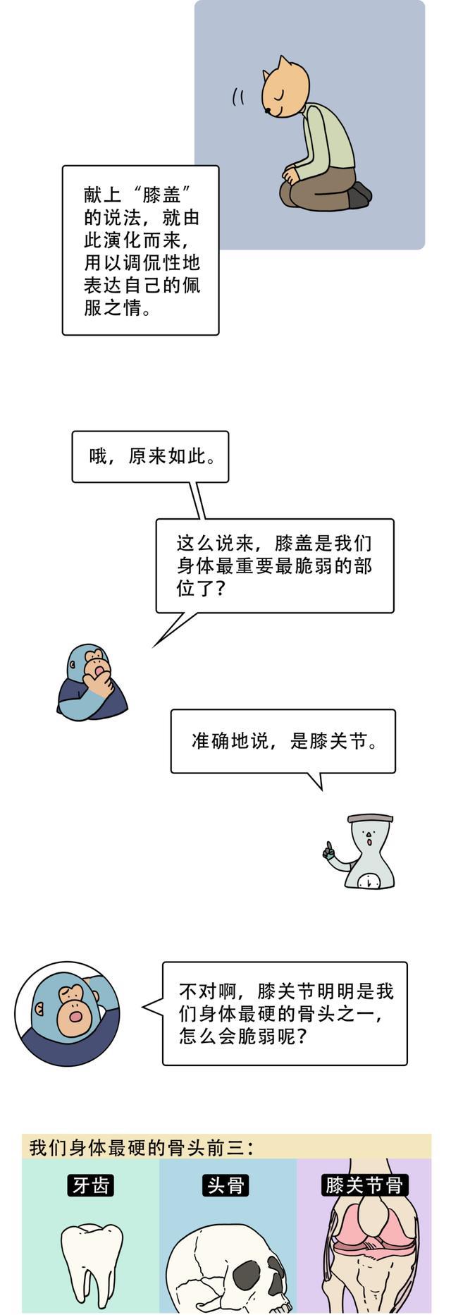 漫画|为什么人类要用“跪下”来表达崇拜？一组漫画告诉你答案