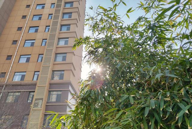 华为mate|高颜值荣耀彻底离场,LCD屏+66W快充+星环设计,仅1189元