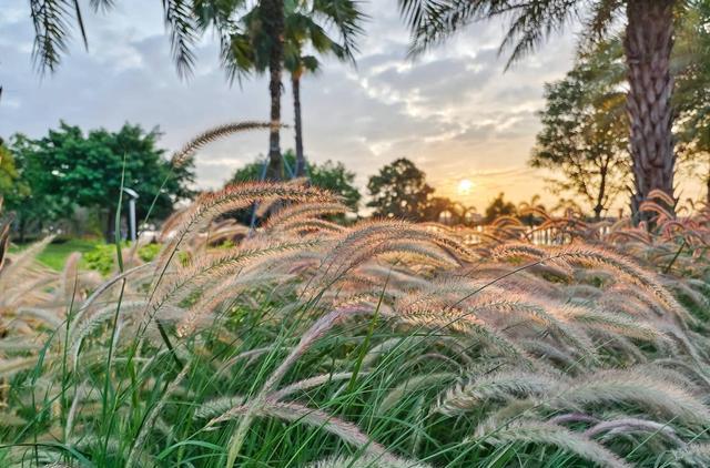 vivo|vivoX90迎来大存储时代,16G+1TB成标配,就是有点贵