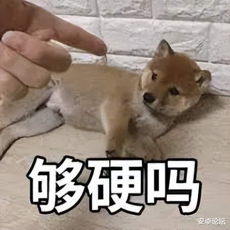 苹果|苹果可以啊,这秘密藏得比造车还深