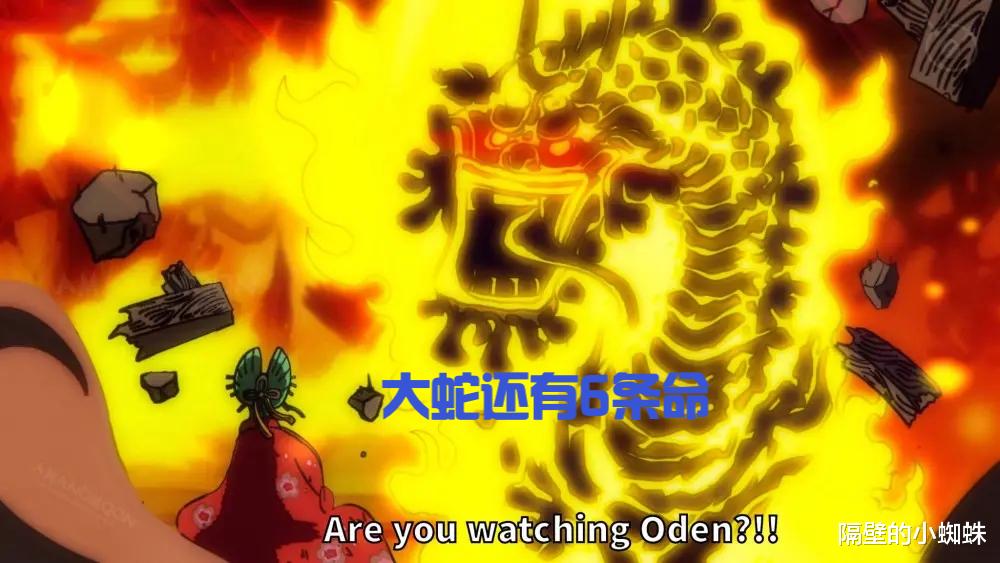 琦玉|海贼王1048话，埋了39话的伏笔揭晓！黑炭大蛇还有6条命