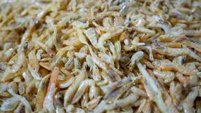 牛蛙|闲暇无聊在家制作虾粉，没想到鲫鱼来口不停