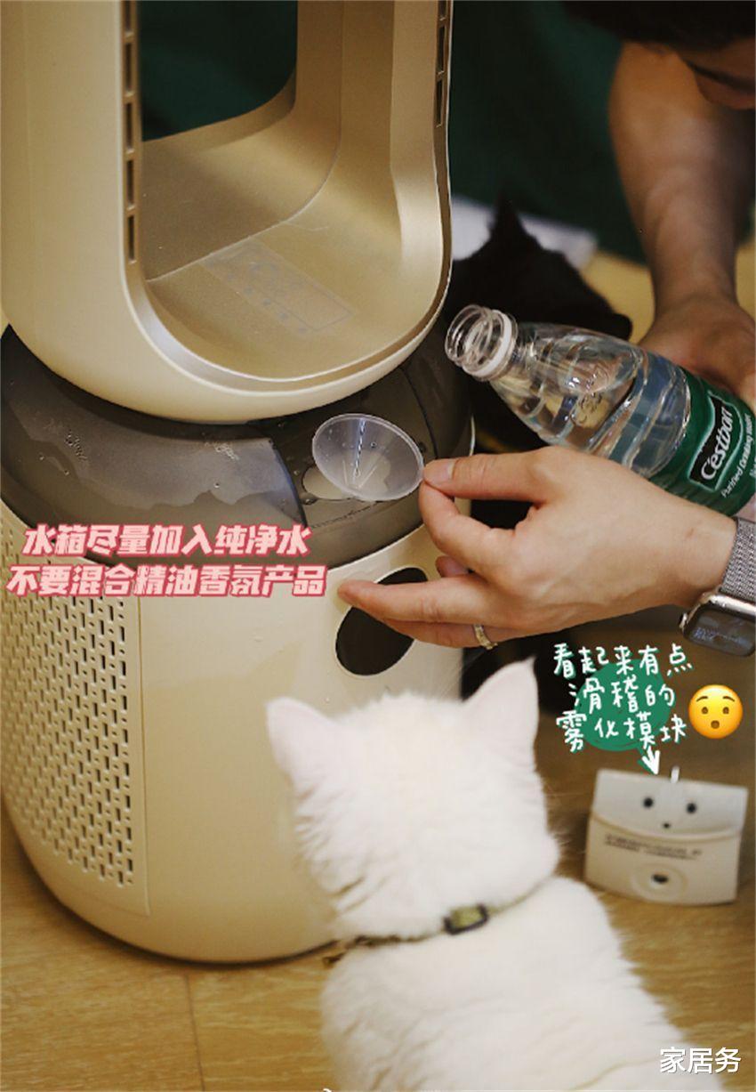 家居|这4款颜值高的小家电,不仅操作简单,还能提升家居生活的幸福感