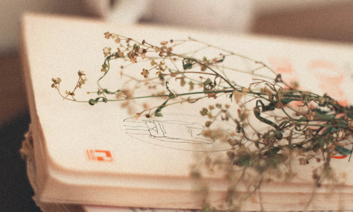 微信|应该怎么运营微信视频号，如何才能做好？