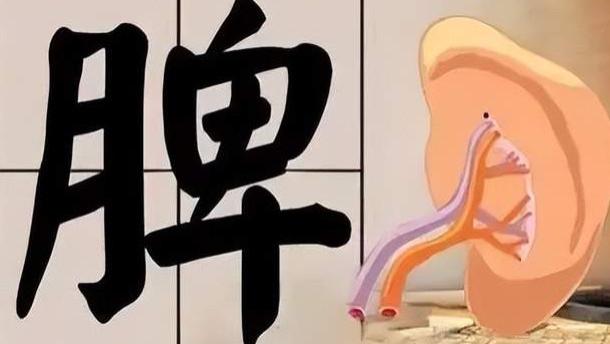 营养膳食|脾虚5大信号，快看看你中了几条！