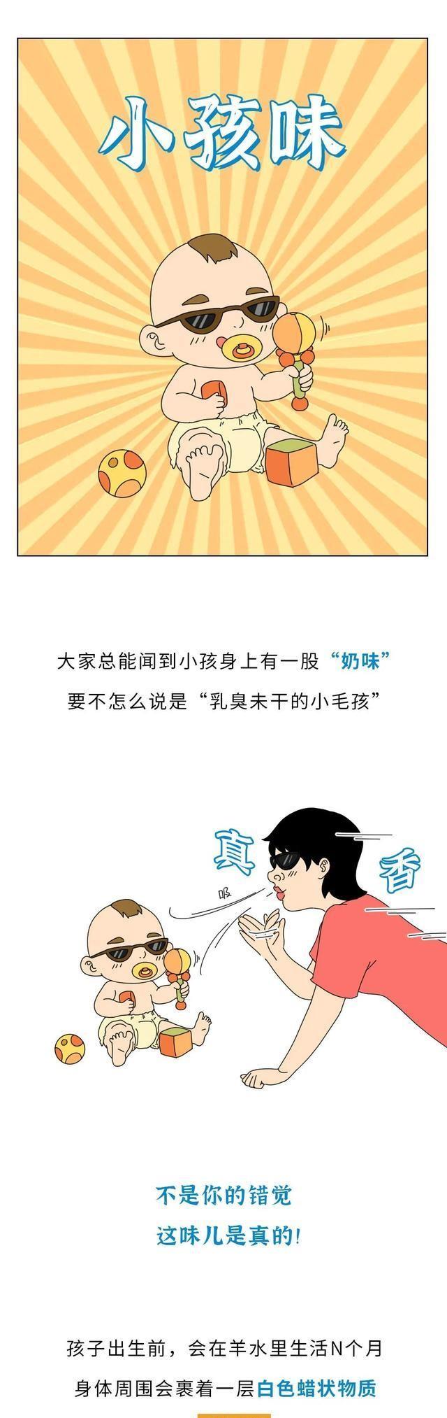 漫画|女生闻到的男人味,究竟是什么味道?漫画揭秘