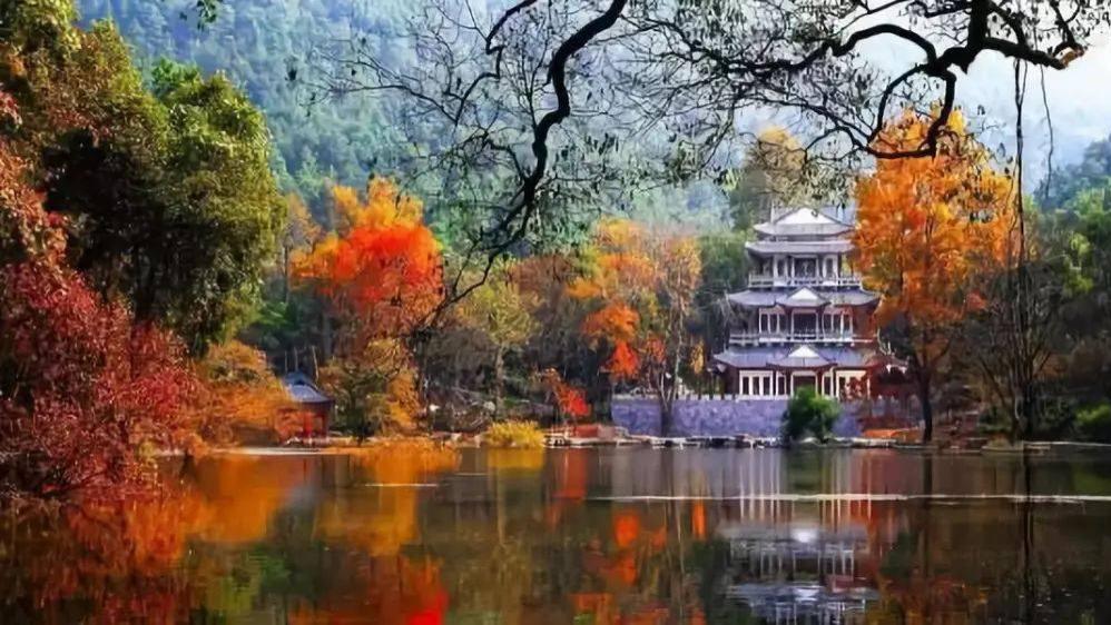 桂林|桂林这个地方大气磅礴，绚丽多彩望一眼，便是忘不掉的风景