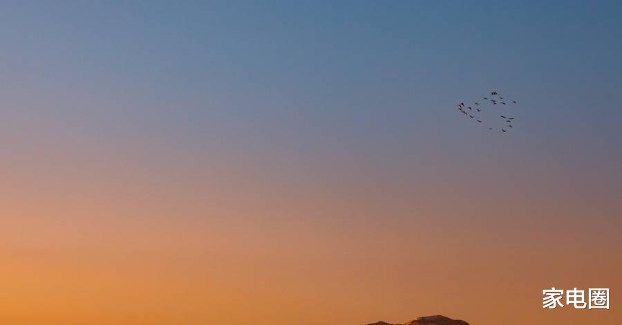 海信|家电获补贴,卡萨帝海信夏普冲刺,东芝火星人帅丰小熊德昌交答卷