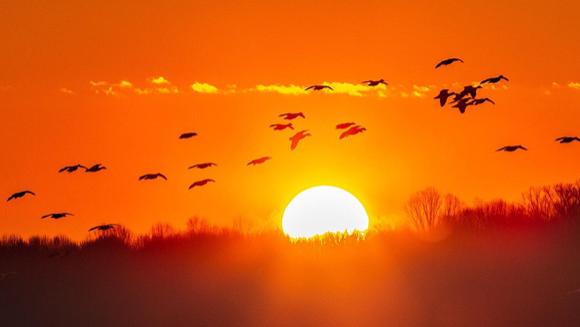 纵有千种风情，更与何人说：十二首秋雨诗词，抒发诗人的秋日情怀