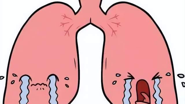 雾霾天|养命先养肺，冬季寒流侵袭需养肺，养肺重在补肺润燥！