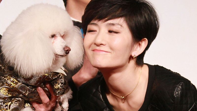 张韶涵|林允，景甜，大s，张子枫，谢娜，李亚鹏！