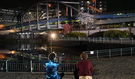 |索诺伊和桃井终于相认了,对于索诺伊来说职责比羁绊更加重要!