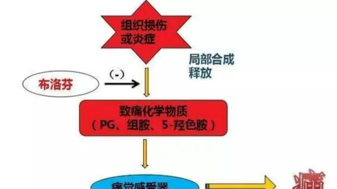 咳嗽|布洛芬在人体的过程，布洛芬的伤害，让我们规范化健康使用