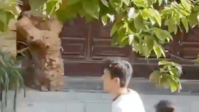 刘亦菲|李现刘亦菲新剧路透：刘亦菲比路人还胖，不减肥仅靠颜值吃饭？