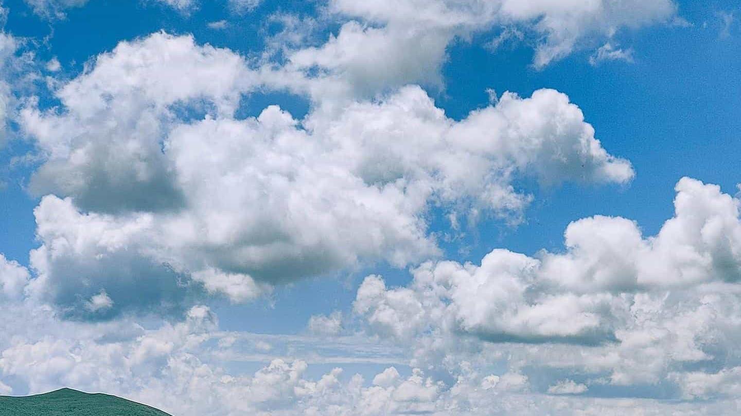 郁金香抗抑郁 抑郁的我们需要多巴胺，也需要内啡肽。