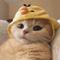 撕心私欲
