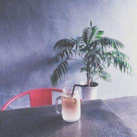 范冲