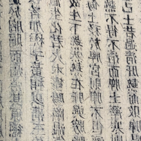 吴越老哥解读四圣心源