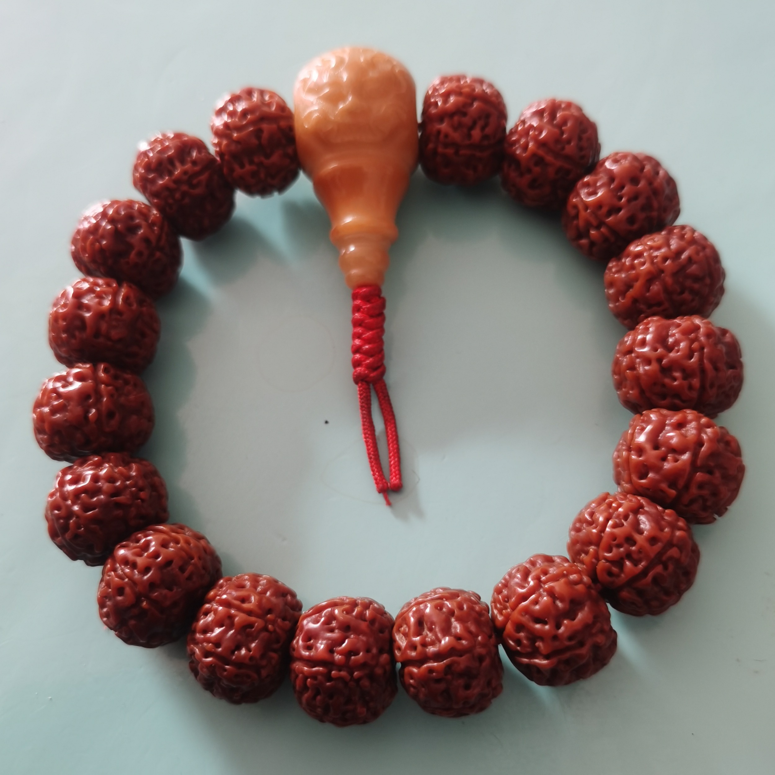 顺鑫菩提