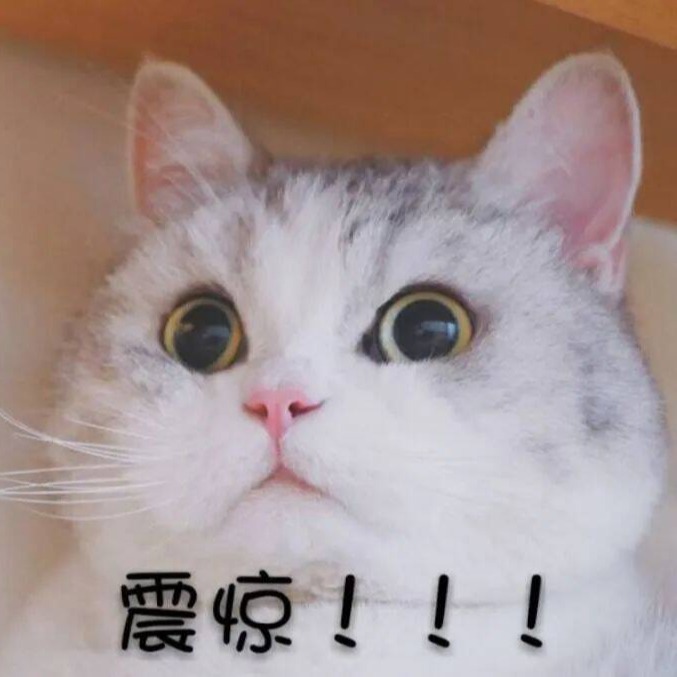 动态记事本