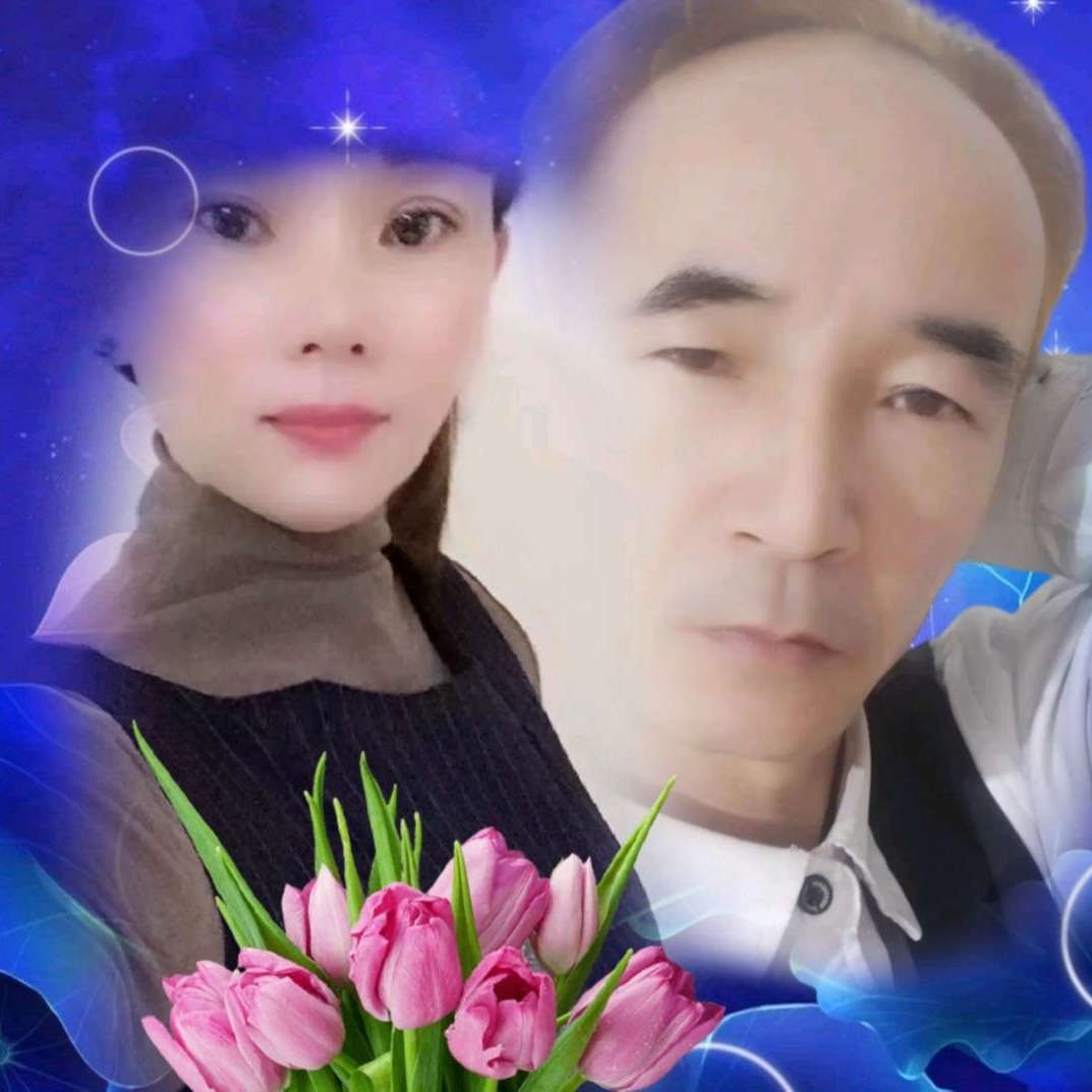 孤独成狗