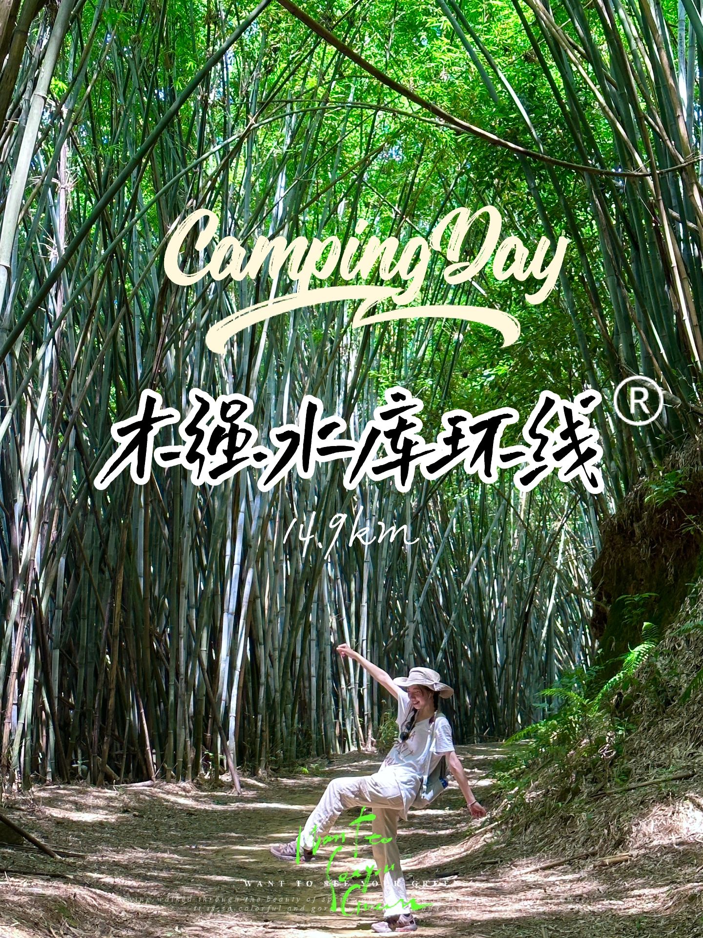 广州｜这里才是真正的绿野仙踪木强水库环线
