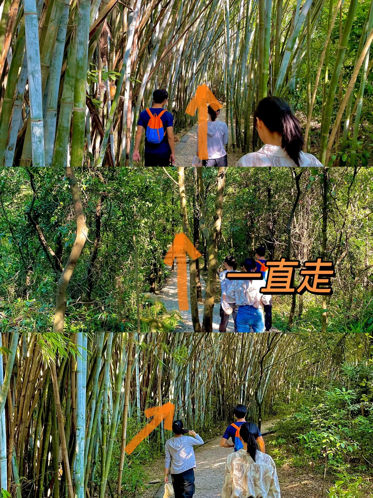 周末徒步｜广州长岭黄麻村