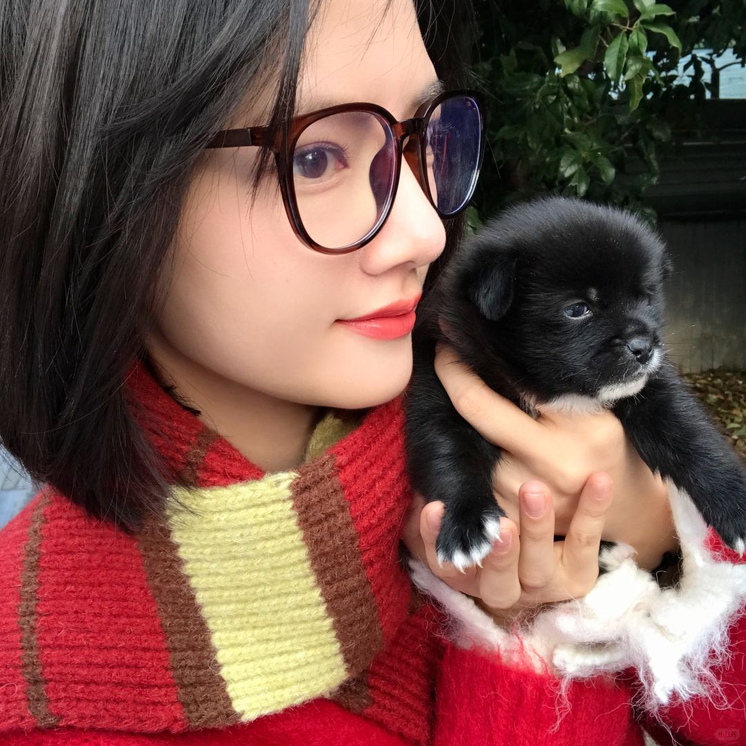 和富强一起跨年咯！
有人知道富强是什么品种嘛？
2024我来啦！