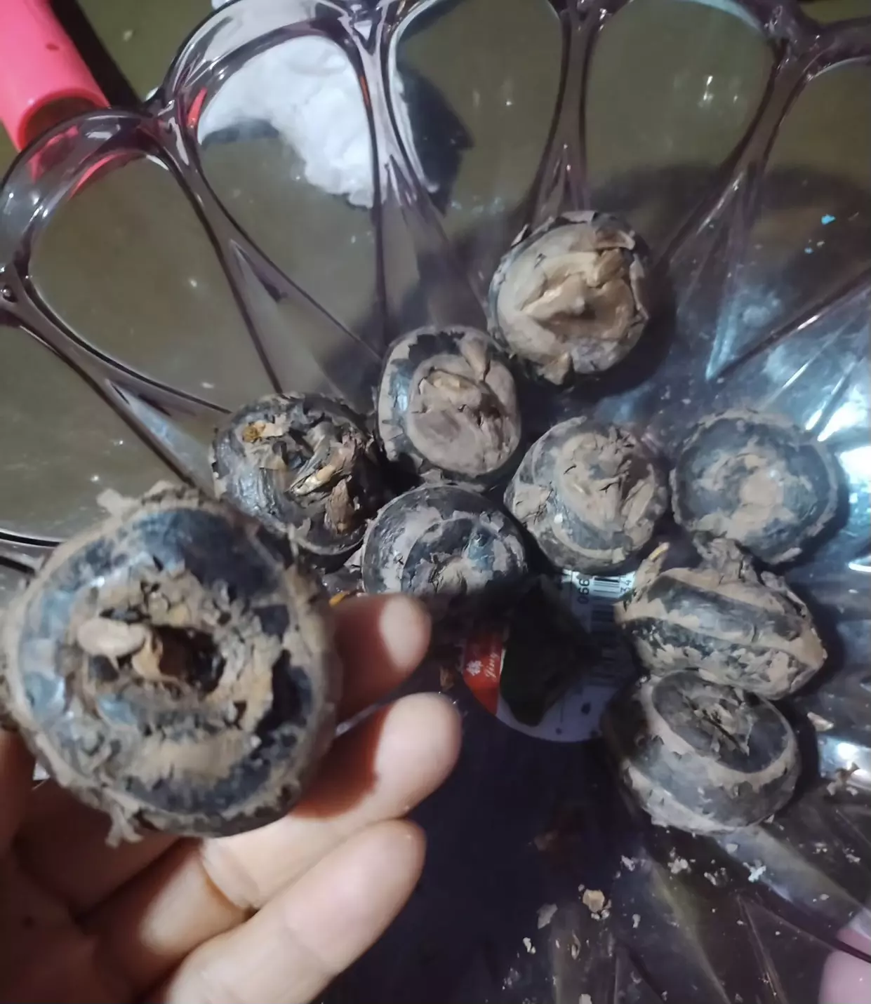 你们那里这个叫什么