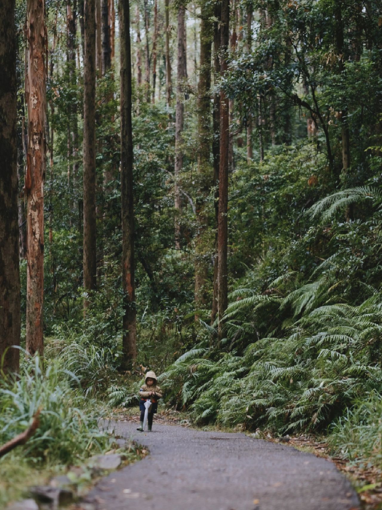 蕞全~广州25条登山~徒步线路攻略