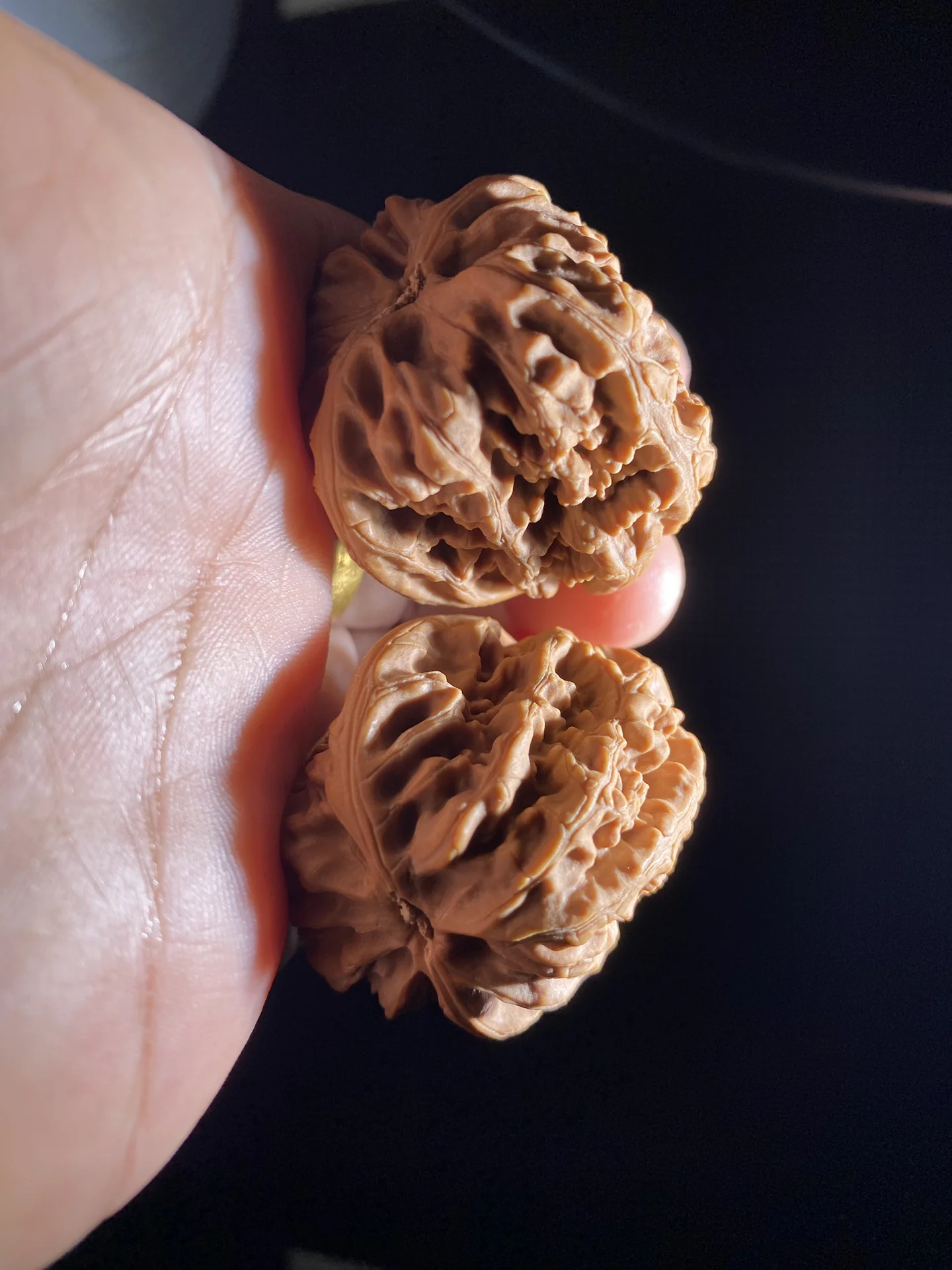 入门必看㊙️文玩核桃的6大分类❗️