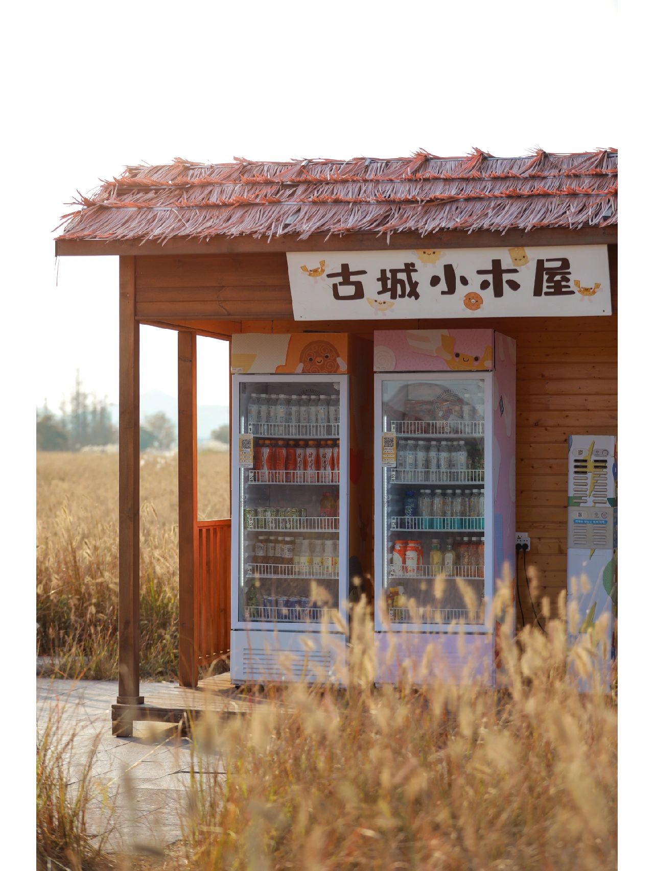 良渚古城的秋，这八个点位一定不能错过！