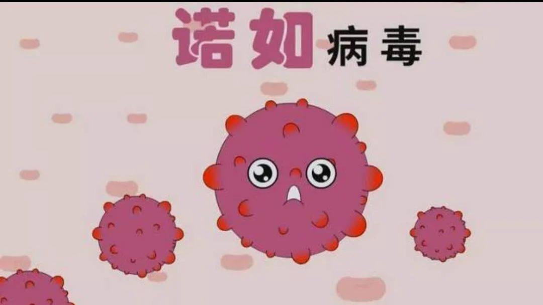 诺如病毒抗原检测试剂盒（胶体金法）