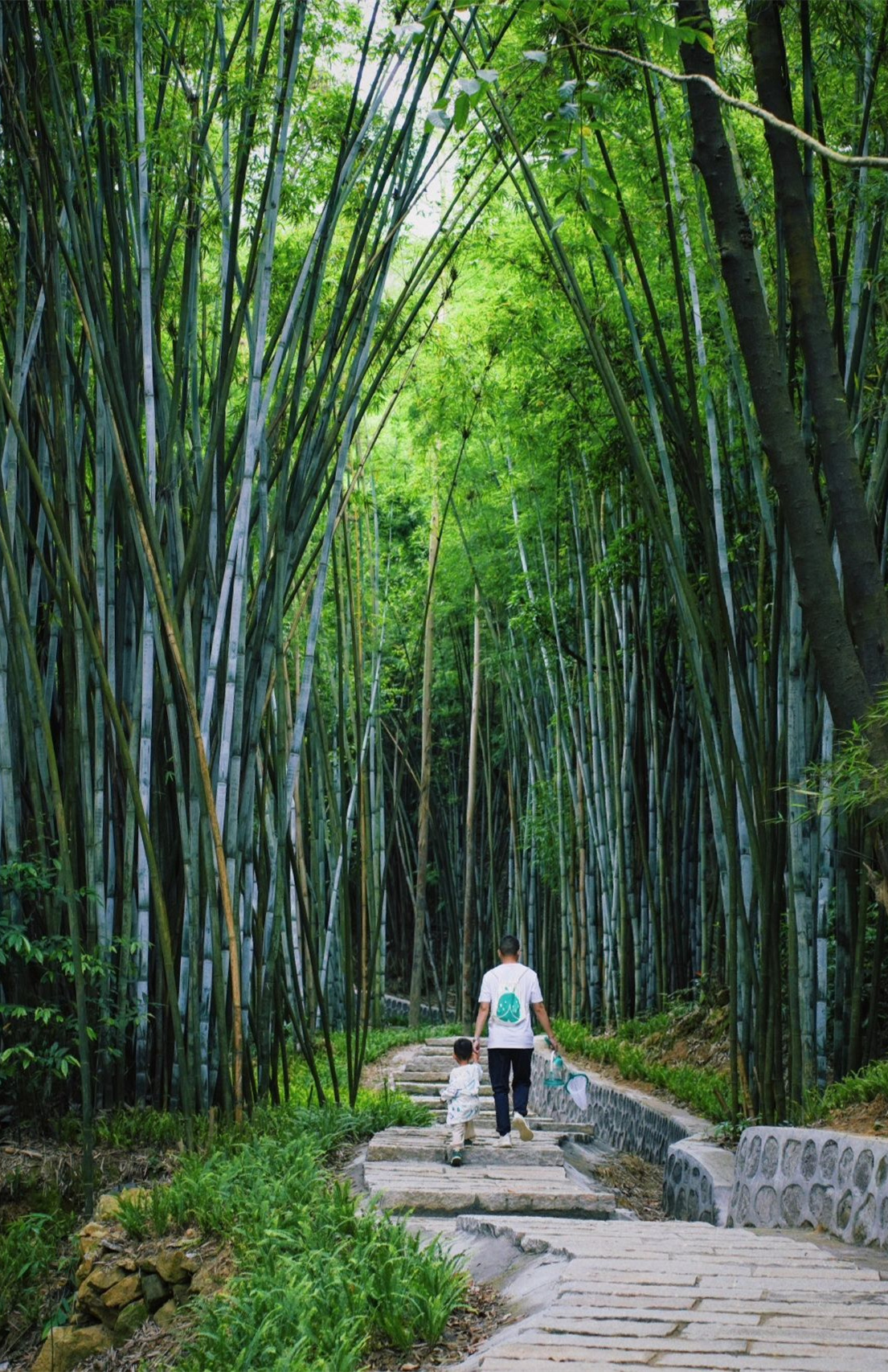 广州小众徒步路线🌿秘境森林小溪轻松不晒