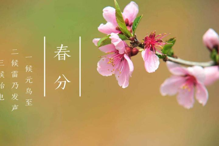 ​春分到，最美的祝福送到！ 

春分，一年中第四个节气，在这个美好的春季，我要把