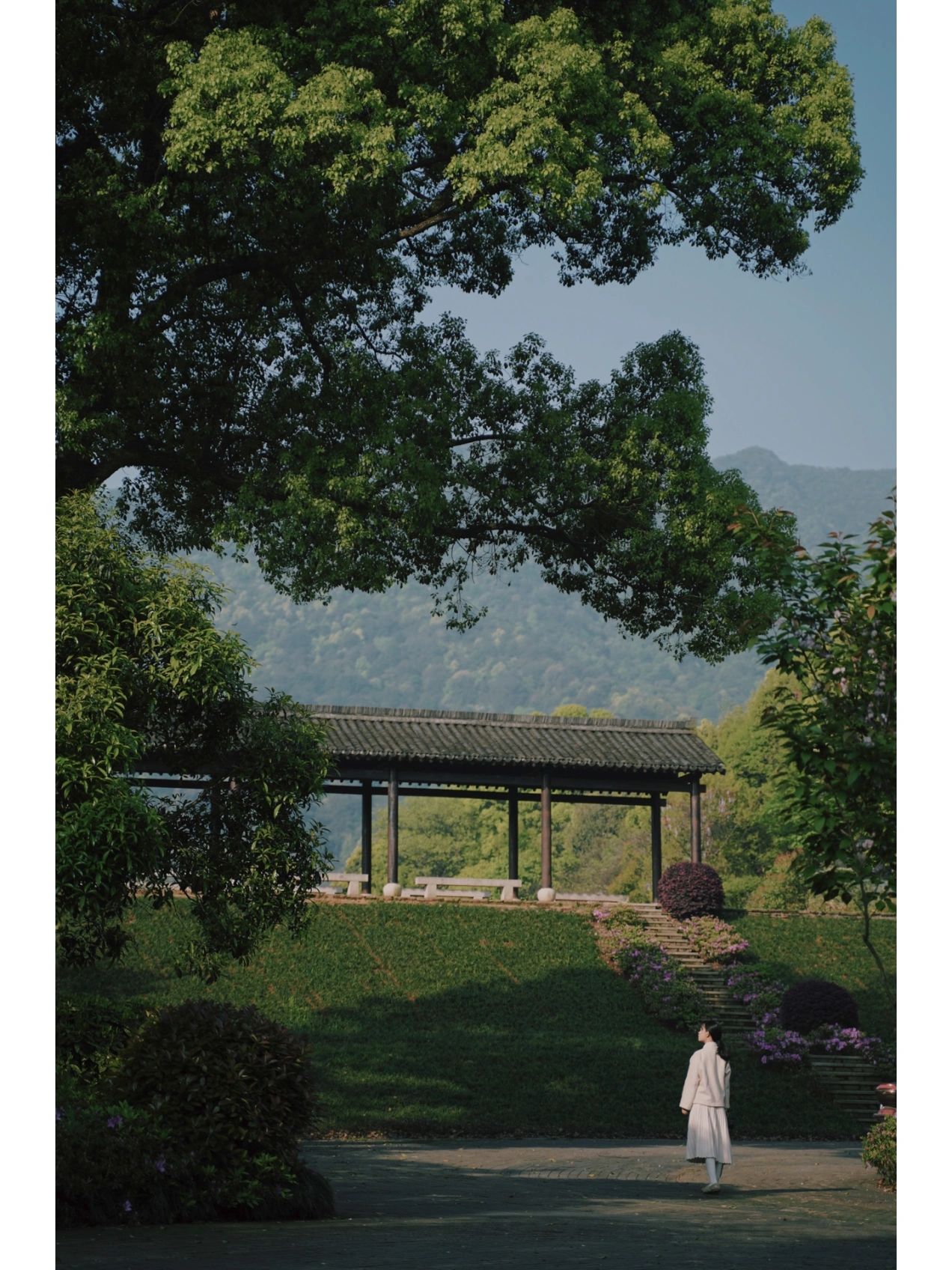 比龙坞还小众，杭州本地人都不知道小众茶山
