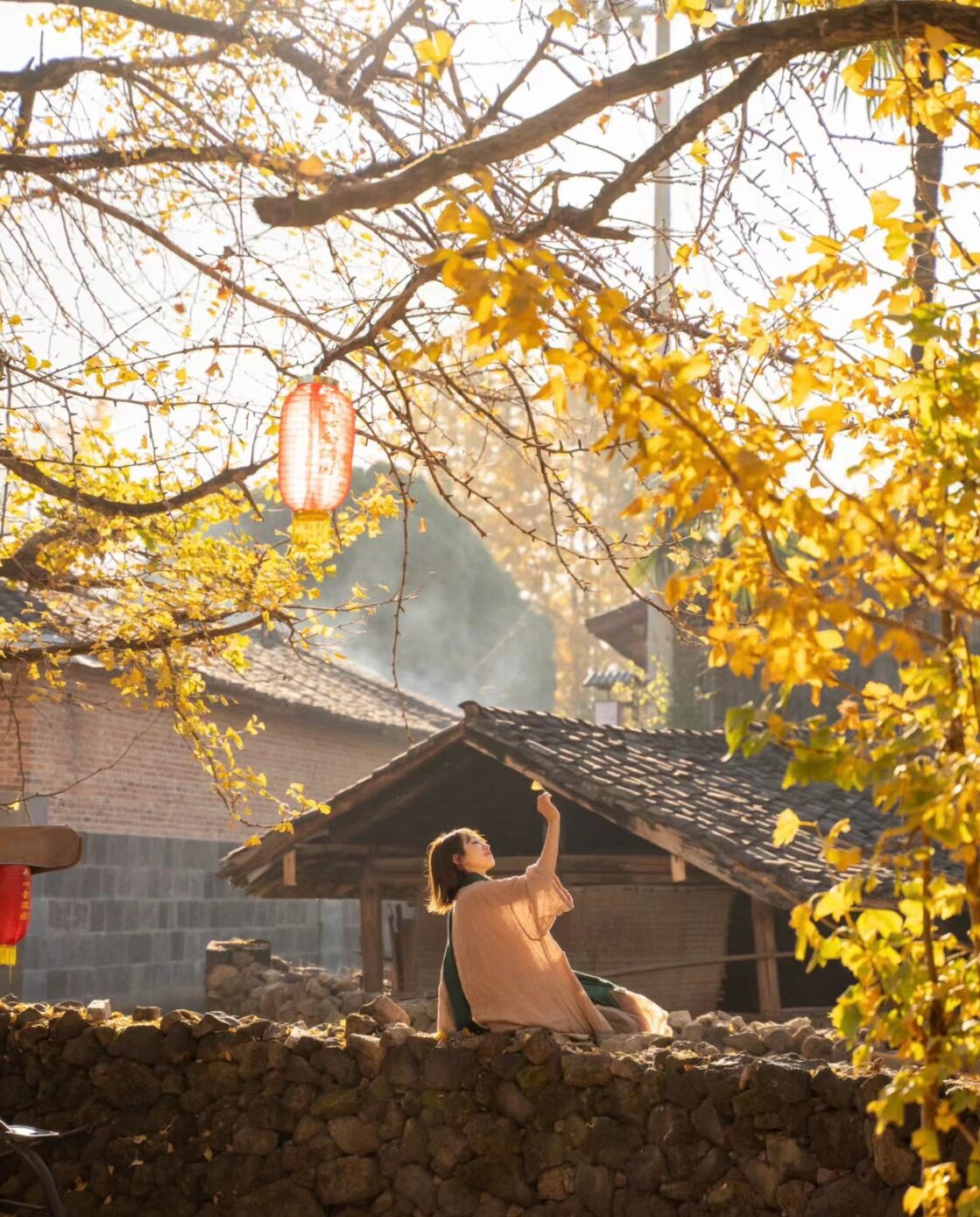 11月份一定要去的地方—腾冲银杏村