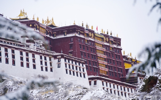 雪，是丰年的信号、喜悦的暗语、春的讯息。悄无声息，2024年的一场瑞雪，在夜色中