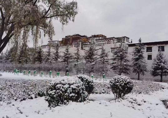 拉萨下雪了，布达拉宫广场雪景太美了
