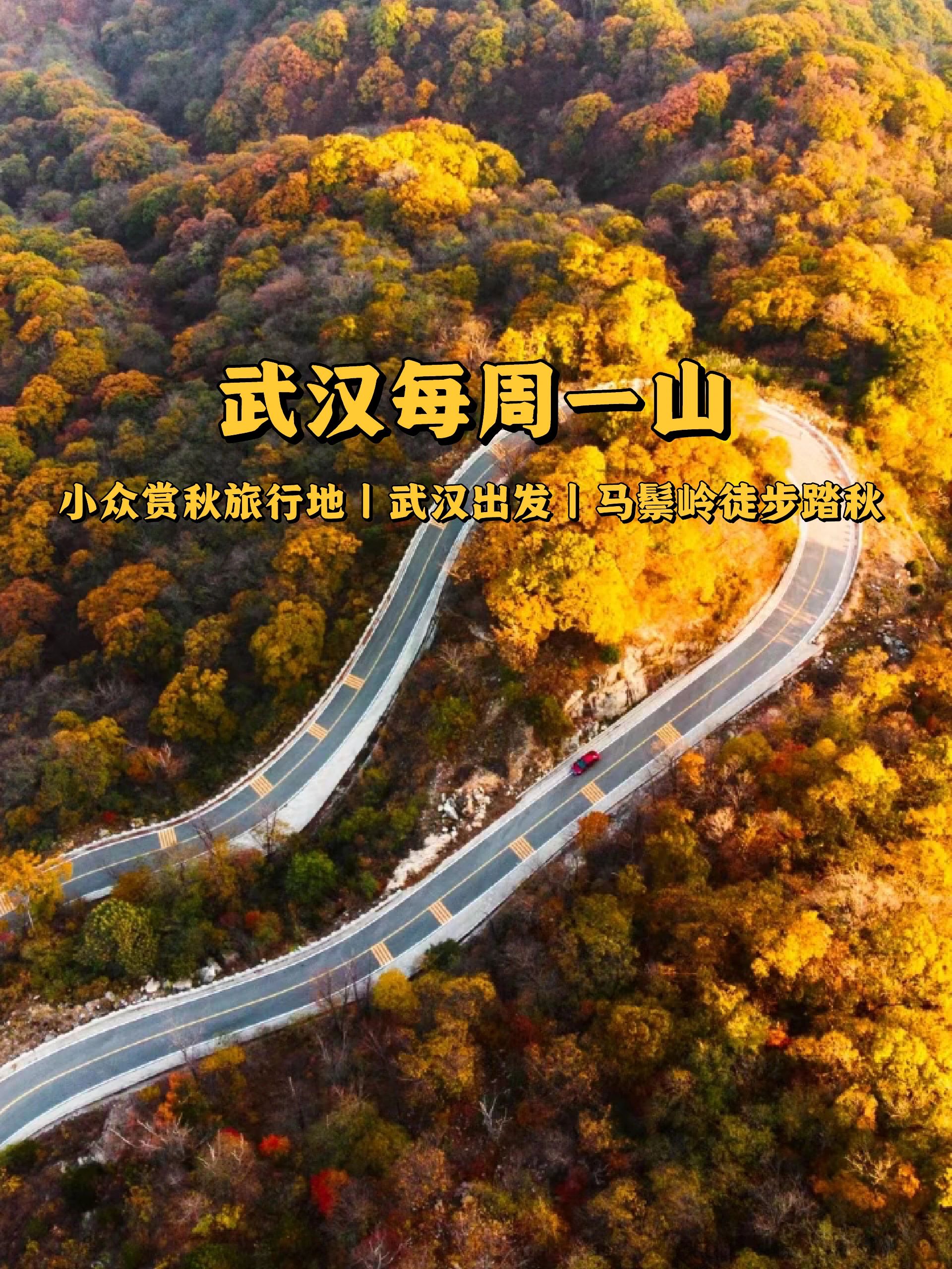 小众赏秋旅行地，武汉出发马鬃岭徒步踏秋