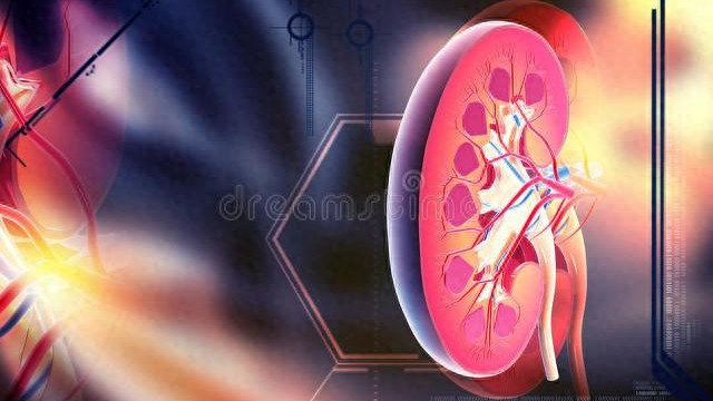 远离尿毒症，请记住晨起两个不要晚间两个不要坚持，肾脏才会更好