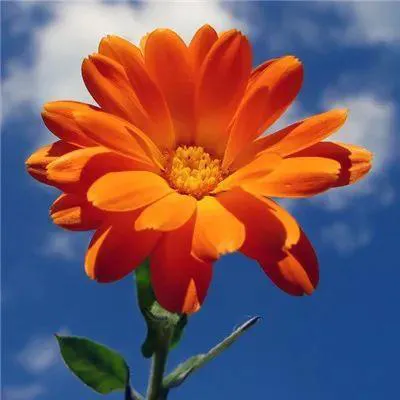 一个朋友突然去世了，50岁，还欠着我20万。
我带着3000块钱去祭奠他，才知道