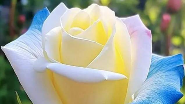 下半辈子，我就这样爱你