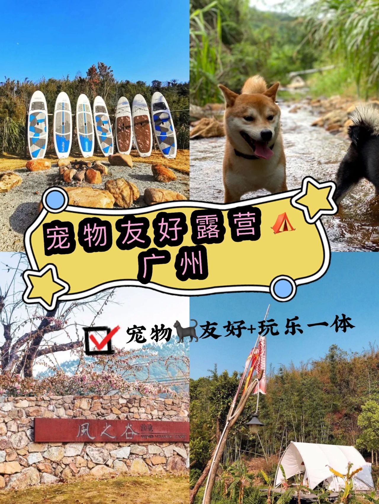 广州｜宠物旅游露营⛺️友好酒店