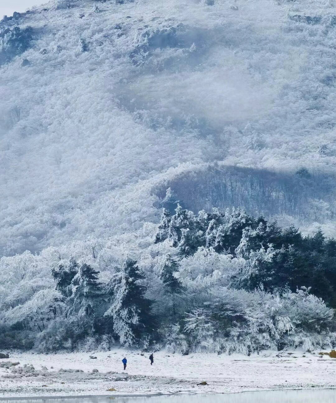 杭州最chill的赏雪 ｜ 雾凇赏雪攻略