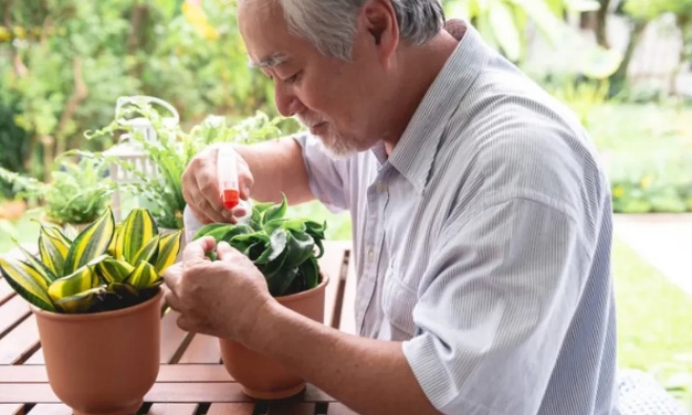 我家邻居是个独居老人，1970年出生，
现在已经63岁，每个月拿着6000的退休