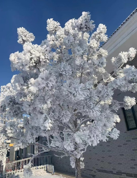 北国风光，千里冰封，万里雪飘。山舞银蛇，原驰蜡象，红装素裹，分外妖娆！