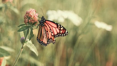 老公是按摩师，经常被人造谣是做鸭的，怎么办？求帮助